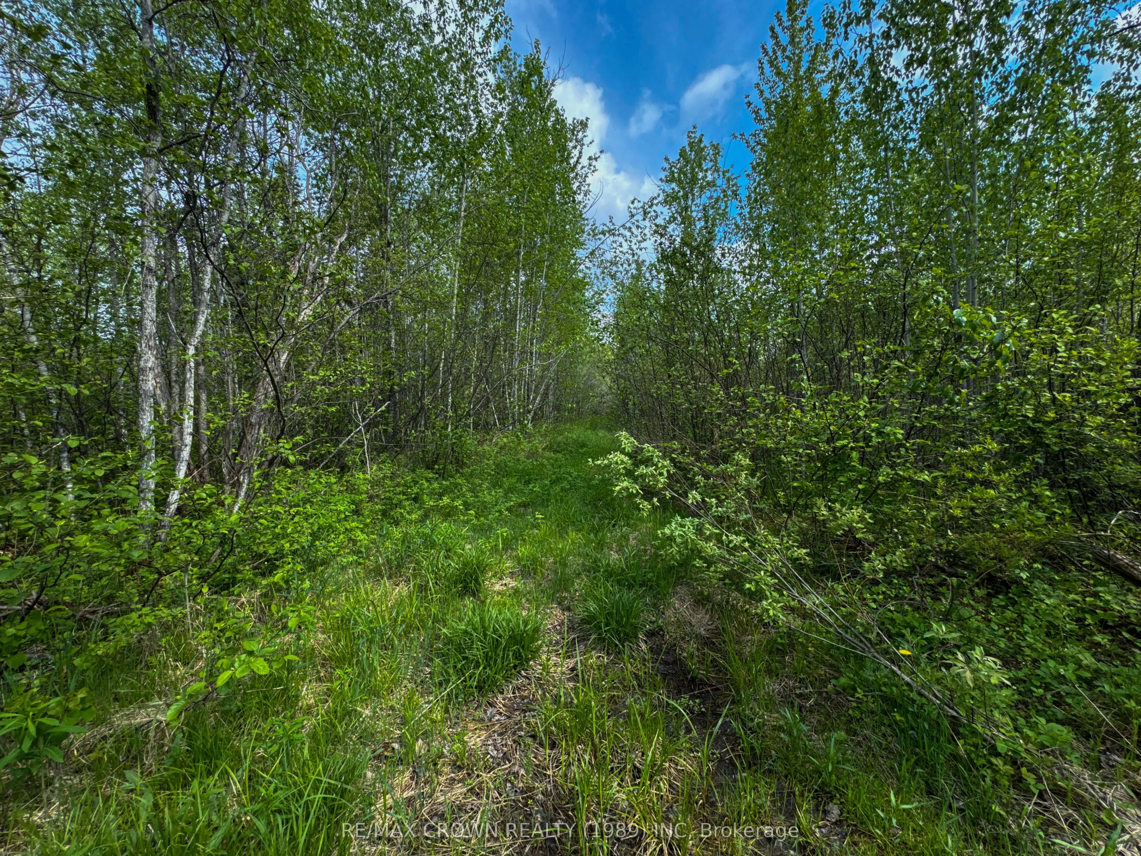 Lot 5 Concession 3