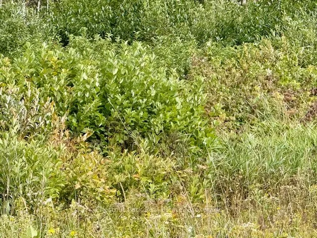 0 Highway 11 North Highway, #North Triangle