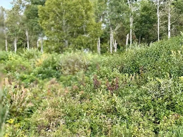 0 Highway 11 North Highway, #North Triangle