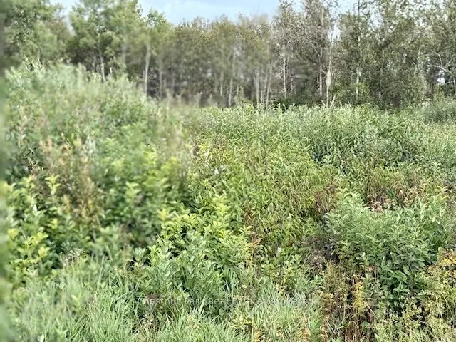 0 Highway 11 North Highway, #North Triangle