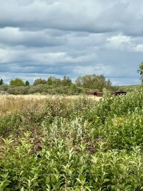 0 Highway 11 North Highway, #North Triangle