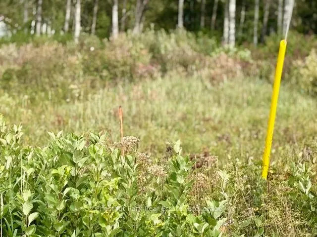 0 Highway 11 North Highway, #North Triangle