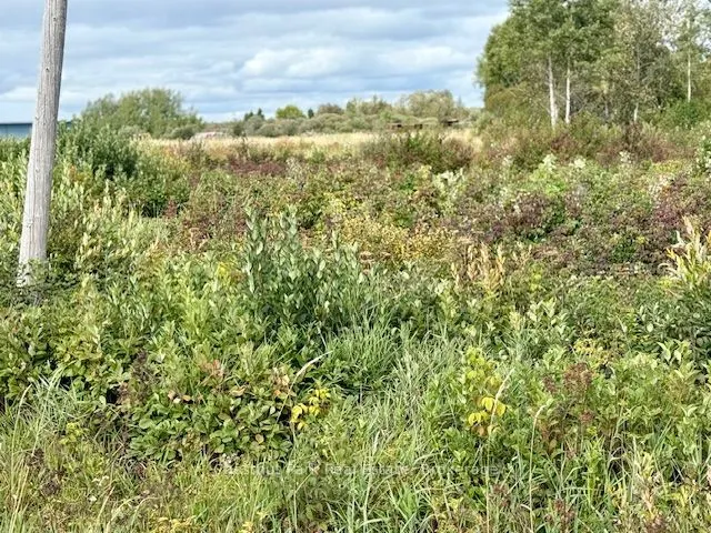 0 Highway 11 North Highway, #North Triangle