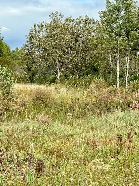 0 Highway 11 North Highway, #North Triangle