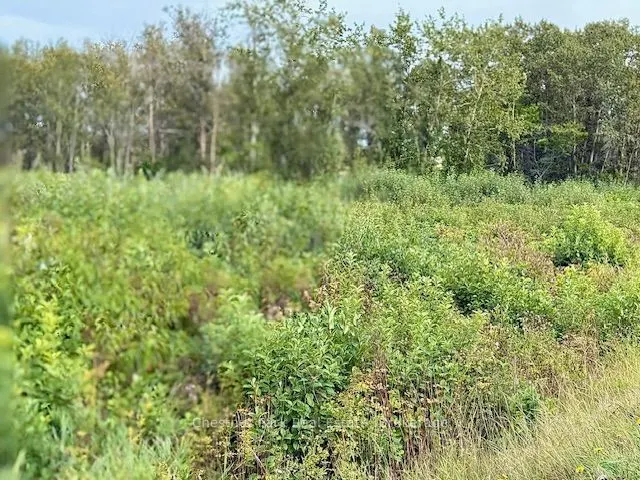 0 Highway 11 North Highway, #North Triangle