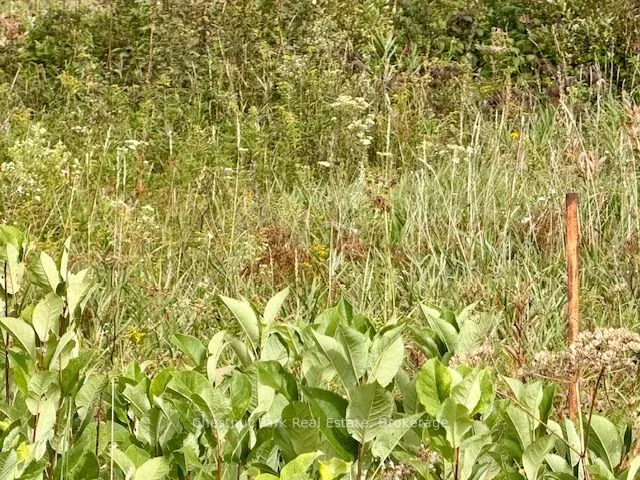 0 Highway 11 North Highway, #North Triangle