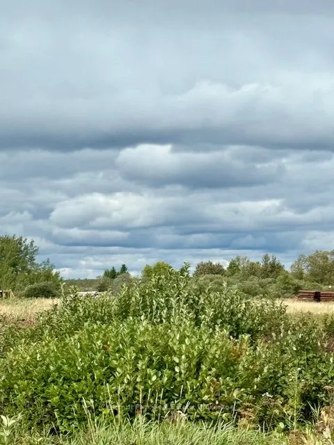 0 Highway 11 North Highway, #North Triangle