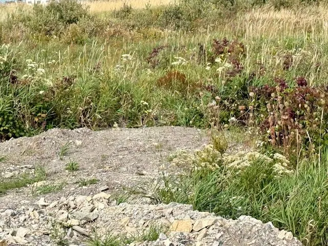 0 Highway 11 North Highway, #North Triangle