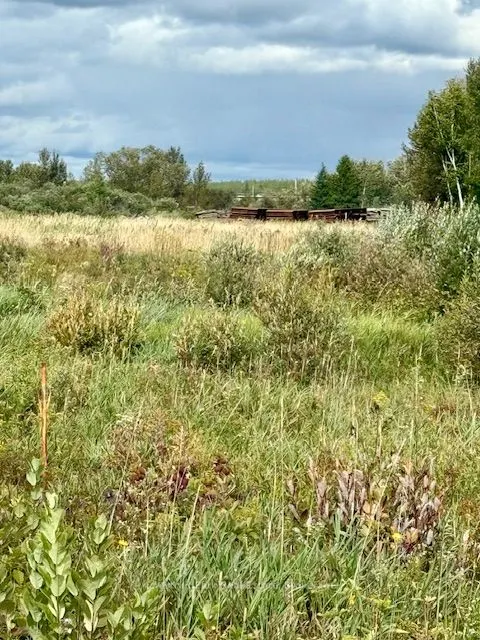 0 Highway 11 North Highway, #North Triangle