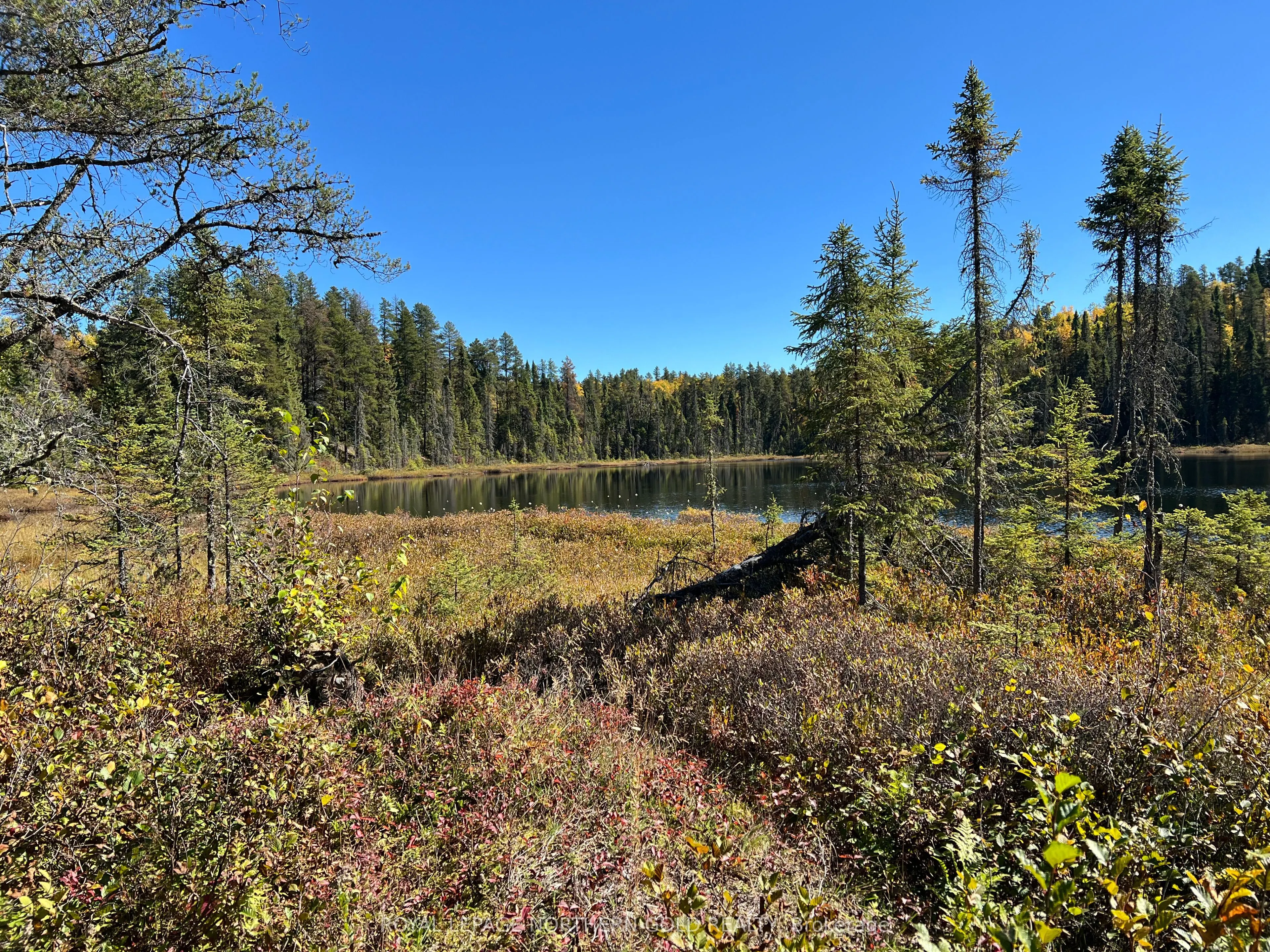 PCL5449 PCL 5448; PCL 5447 SEC CST