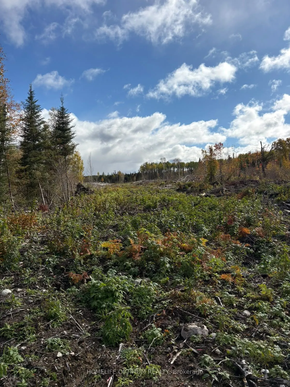 PCL 3898 Bristol Township MINING CLAIM P. 8531