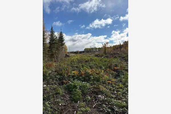 PCL 3898 MINING CLAIM P. 8531