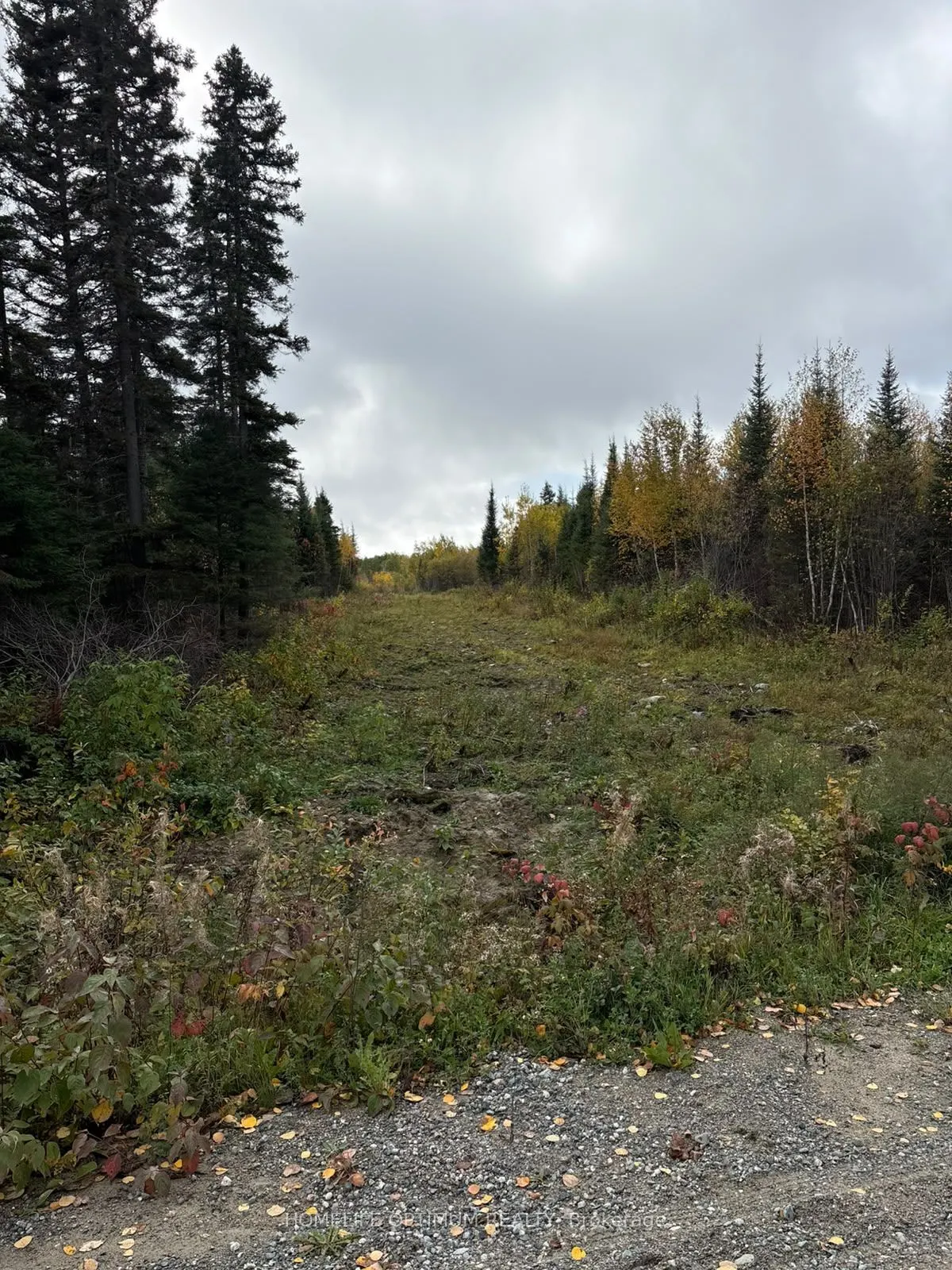 PCL 3898 Bristol Township MINING CLAIM P. 8531