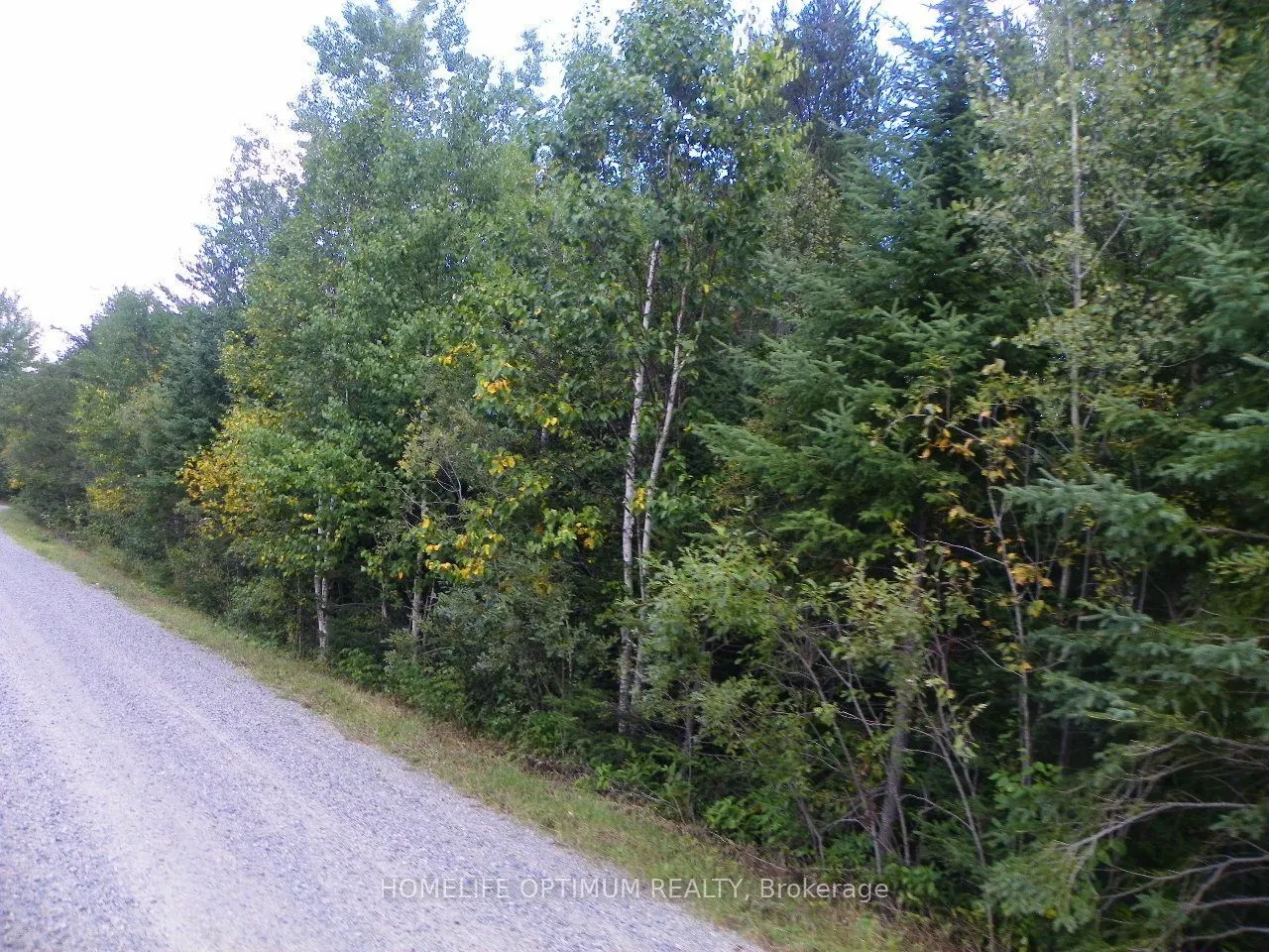 Pt 1 6R8933 Playfair Twp Blue Jay Road