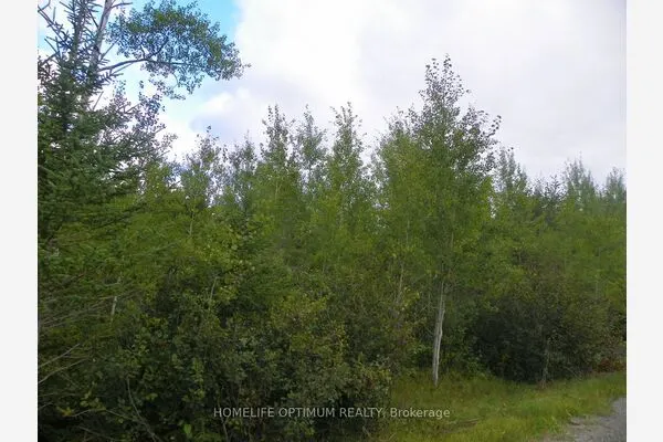Pt 1 6R8933 Playfair Twp Blue Jay Road