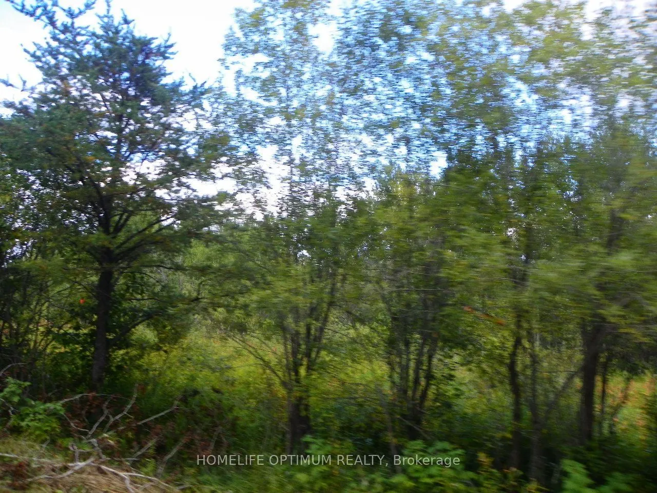 Pt 1 6R8933 Playfair Twp Blue Jay Road