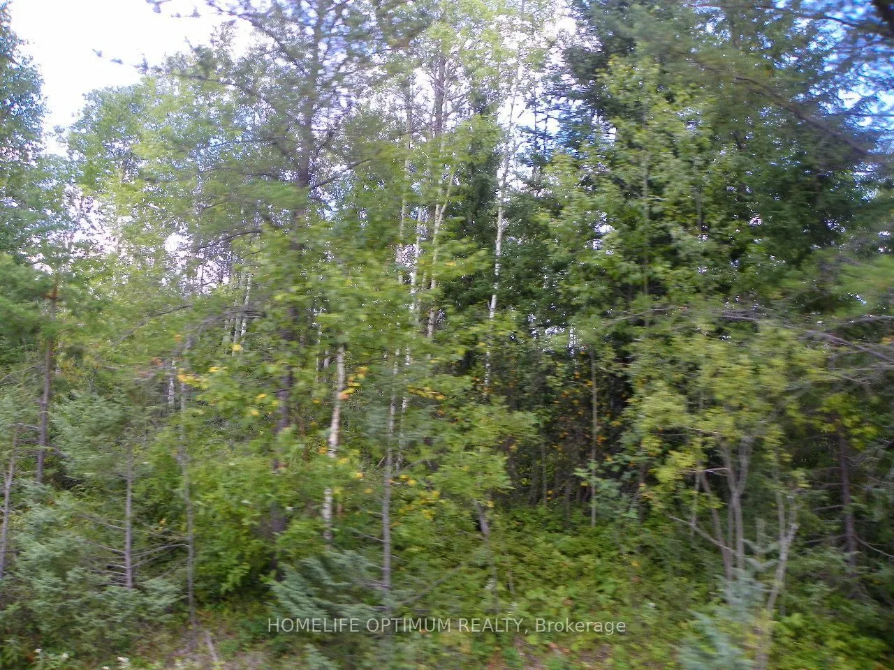 Pt 1 6R8933 Playfair Twp Blue Jay Road