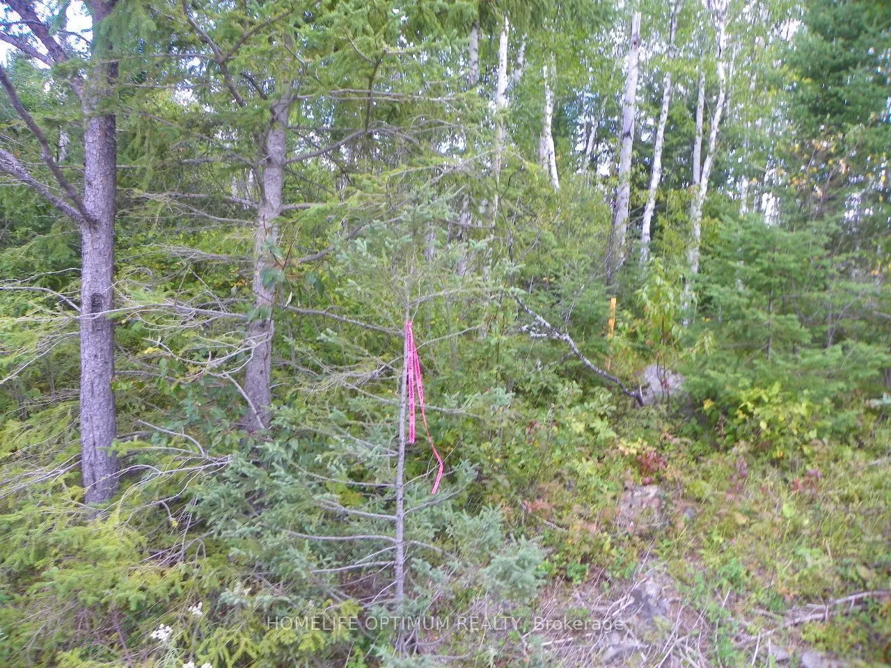 Pt 1 6R8933 Playfair Twp Blue Jay Road