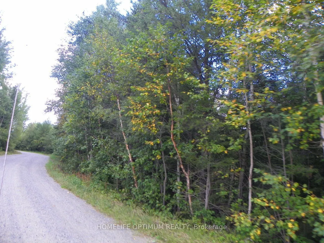 Pt 1 6R8933 Playfair Twp Blue Jay Road