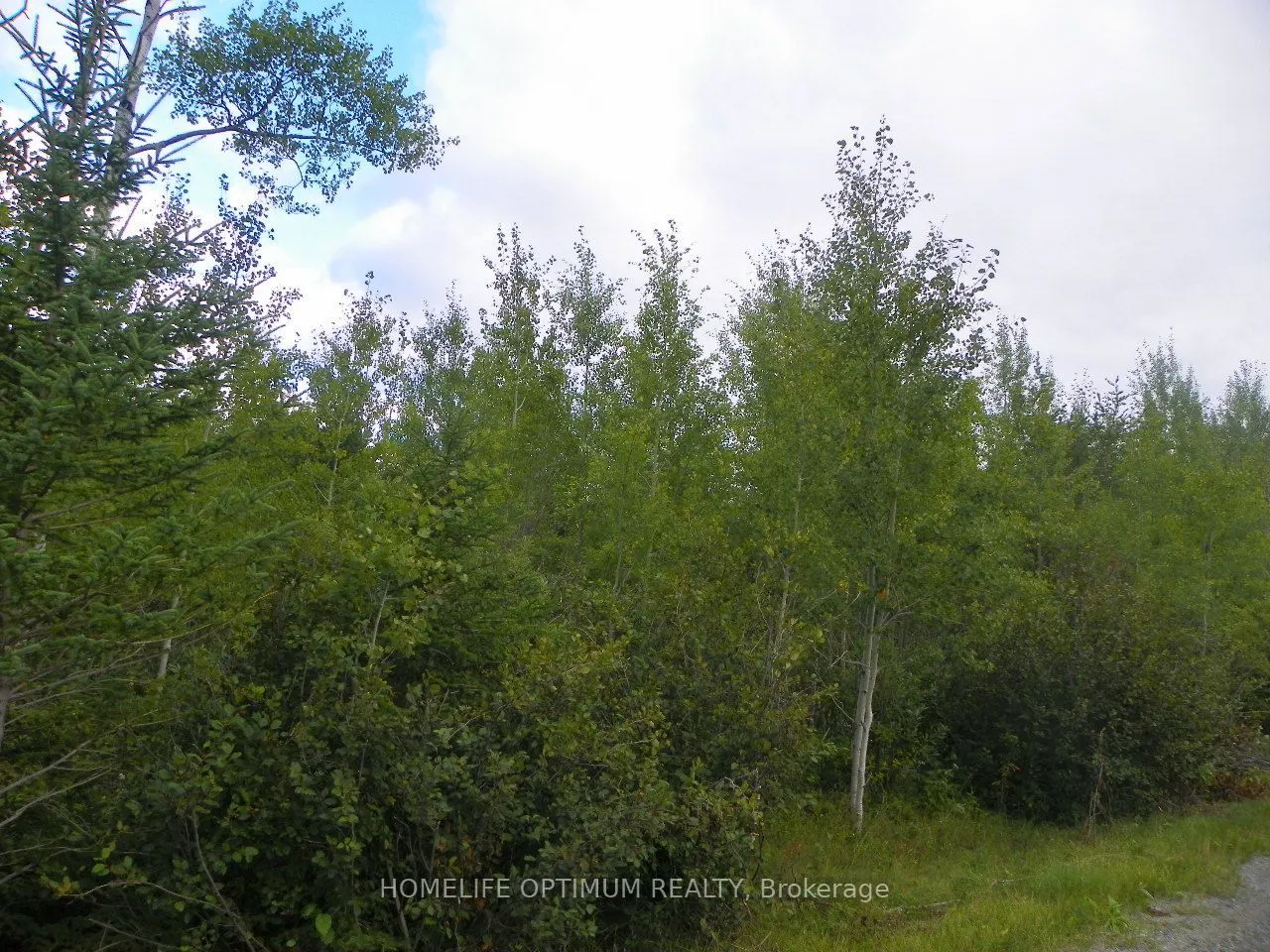 Pt 1 6R8933 Playfair Twp Blue Jay Road