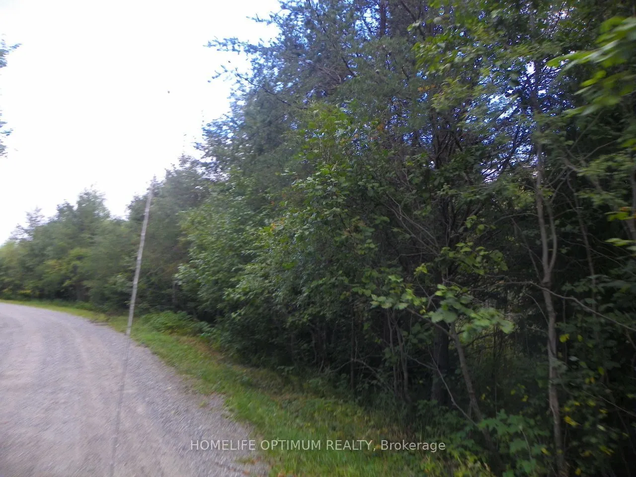 Pt 1 6R8933 Playfair Twp Blue Jay Road