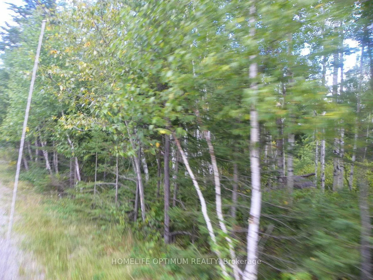 Pt 1 6R8933 Playfair Twp Blue Jay Road