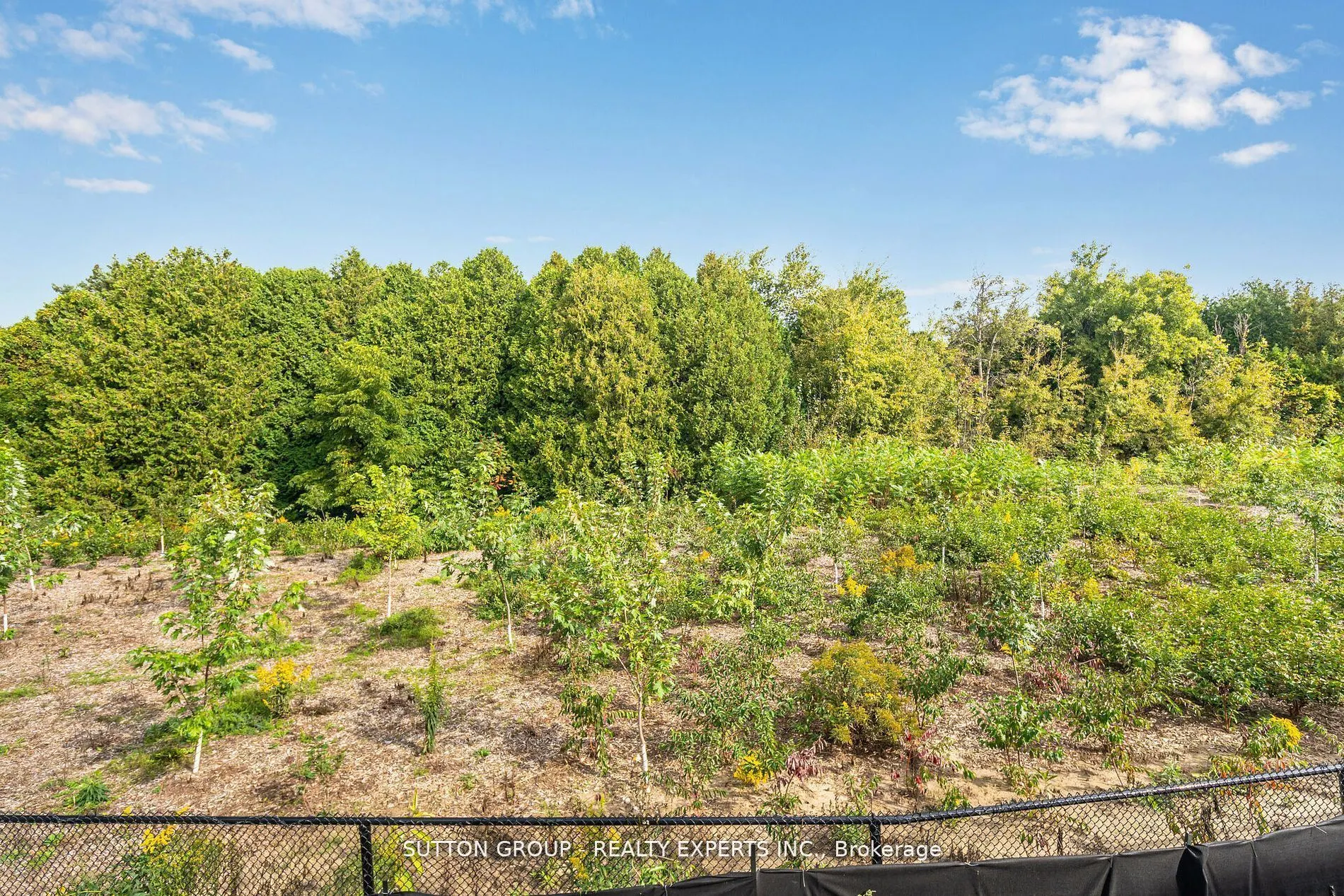 59 Raspberry Ridge Avenue