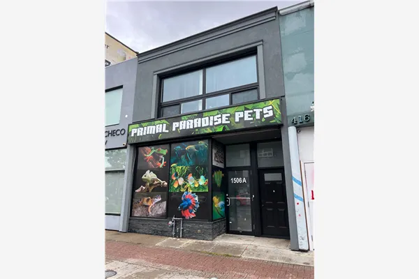 1506 Eglinton Avenue W