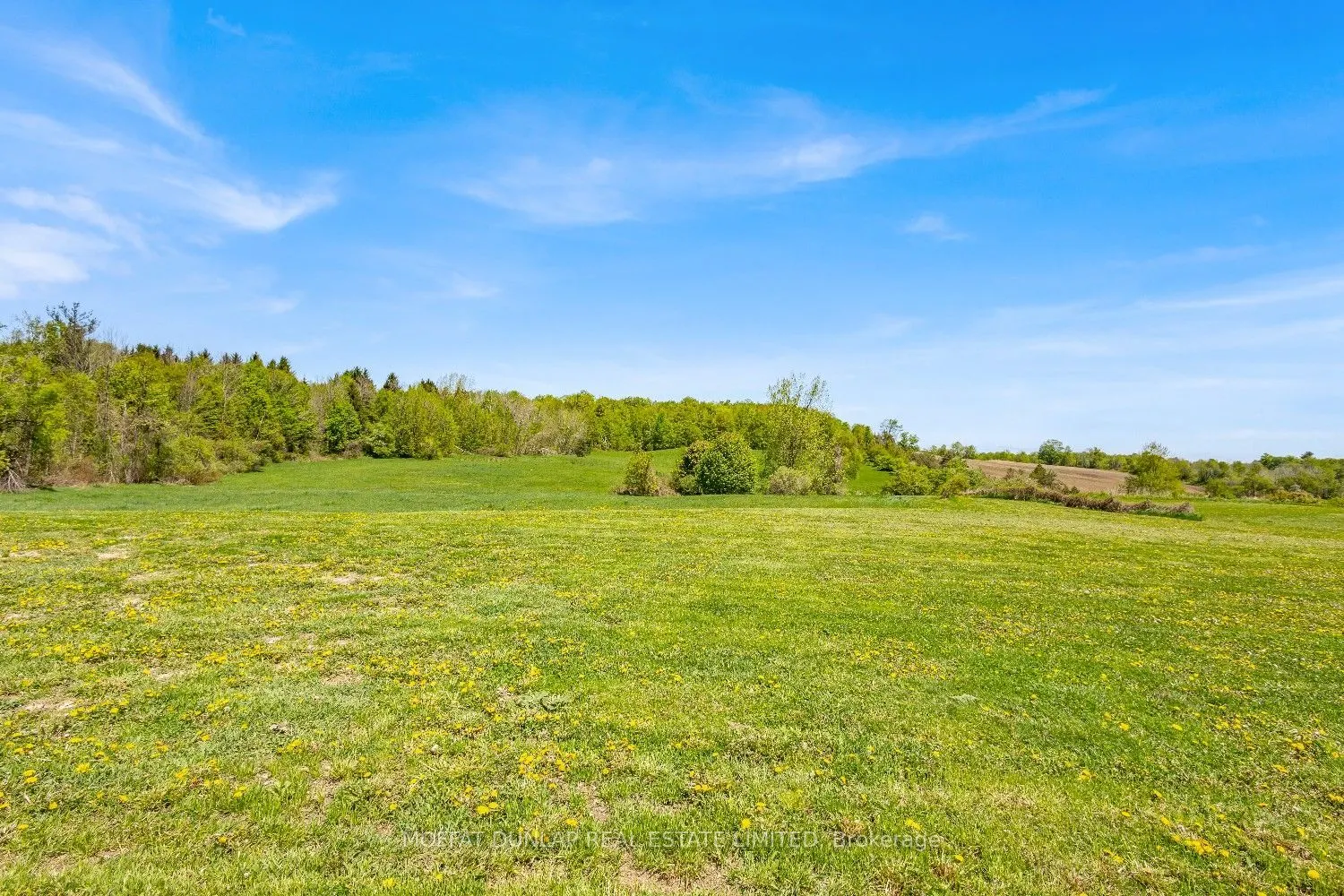 18161 Heart Lake Road