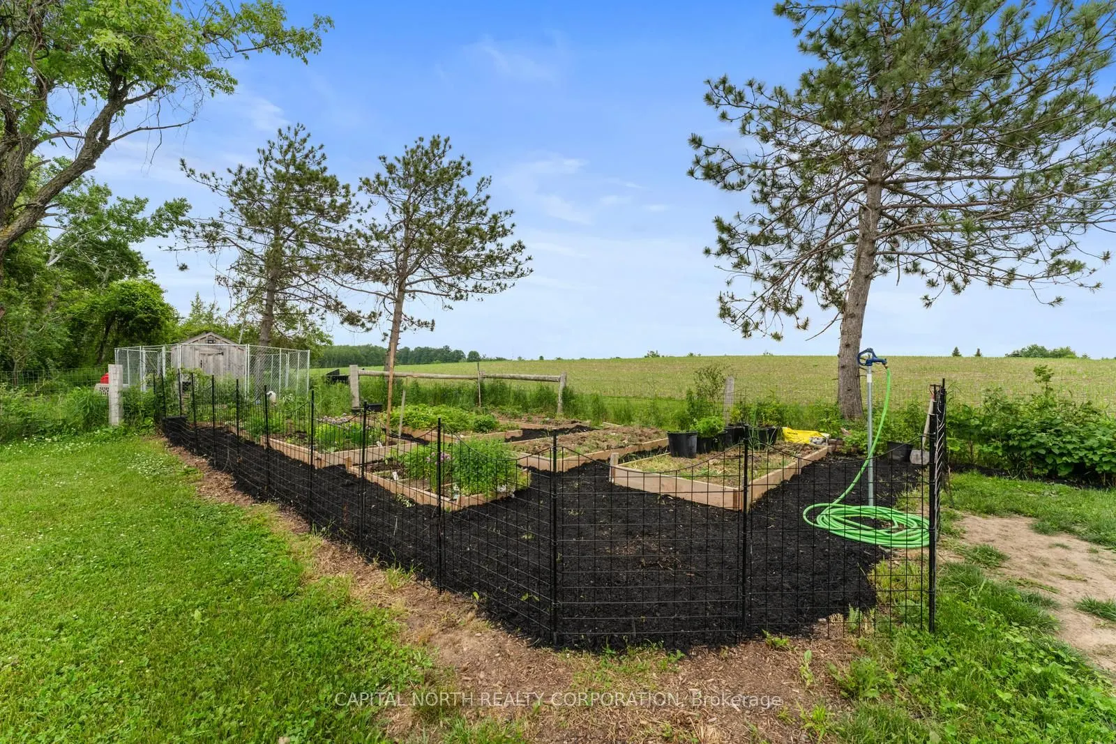 19009 St Andrews Road