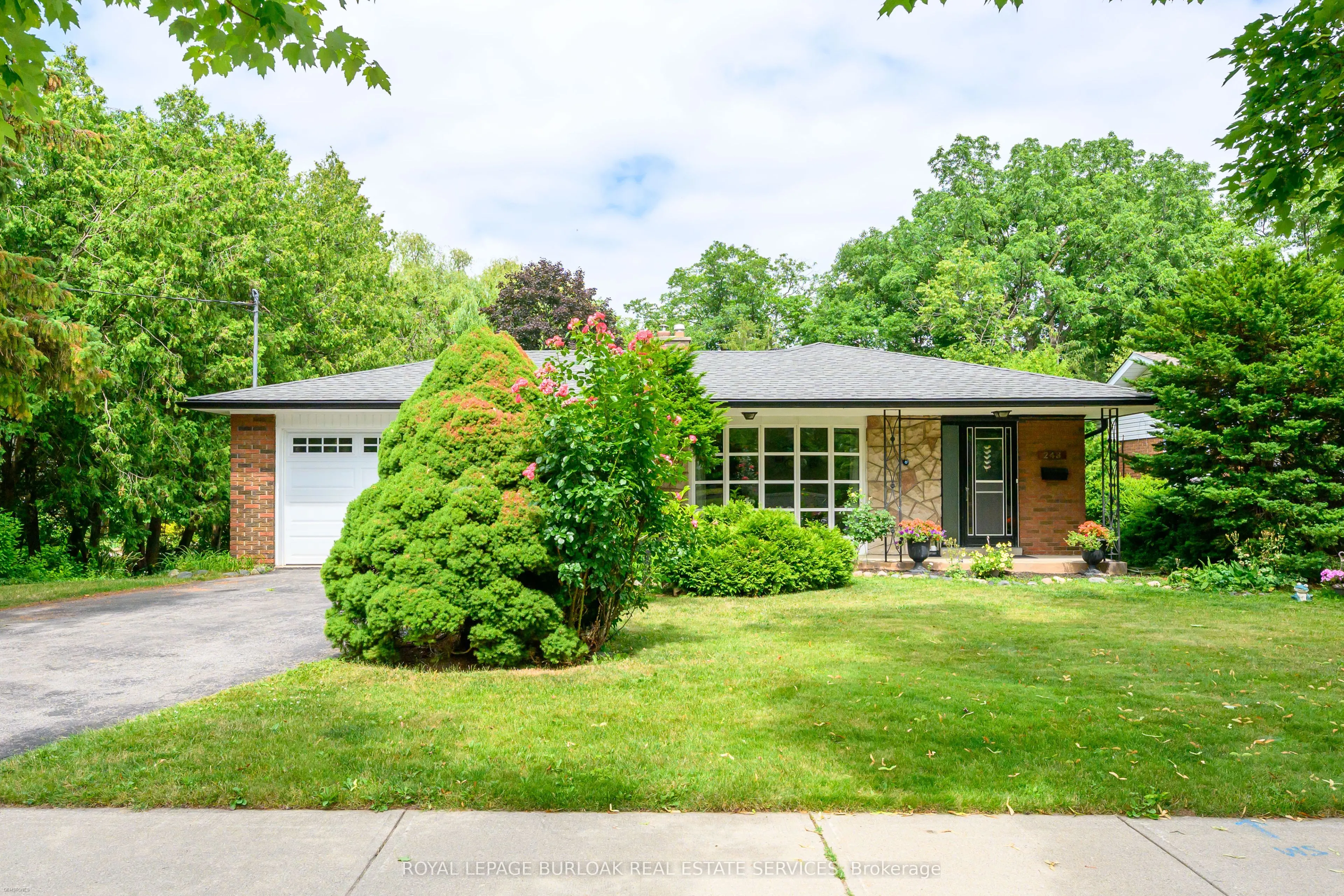 243 Appleby Line