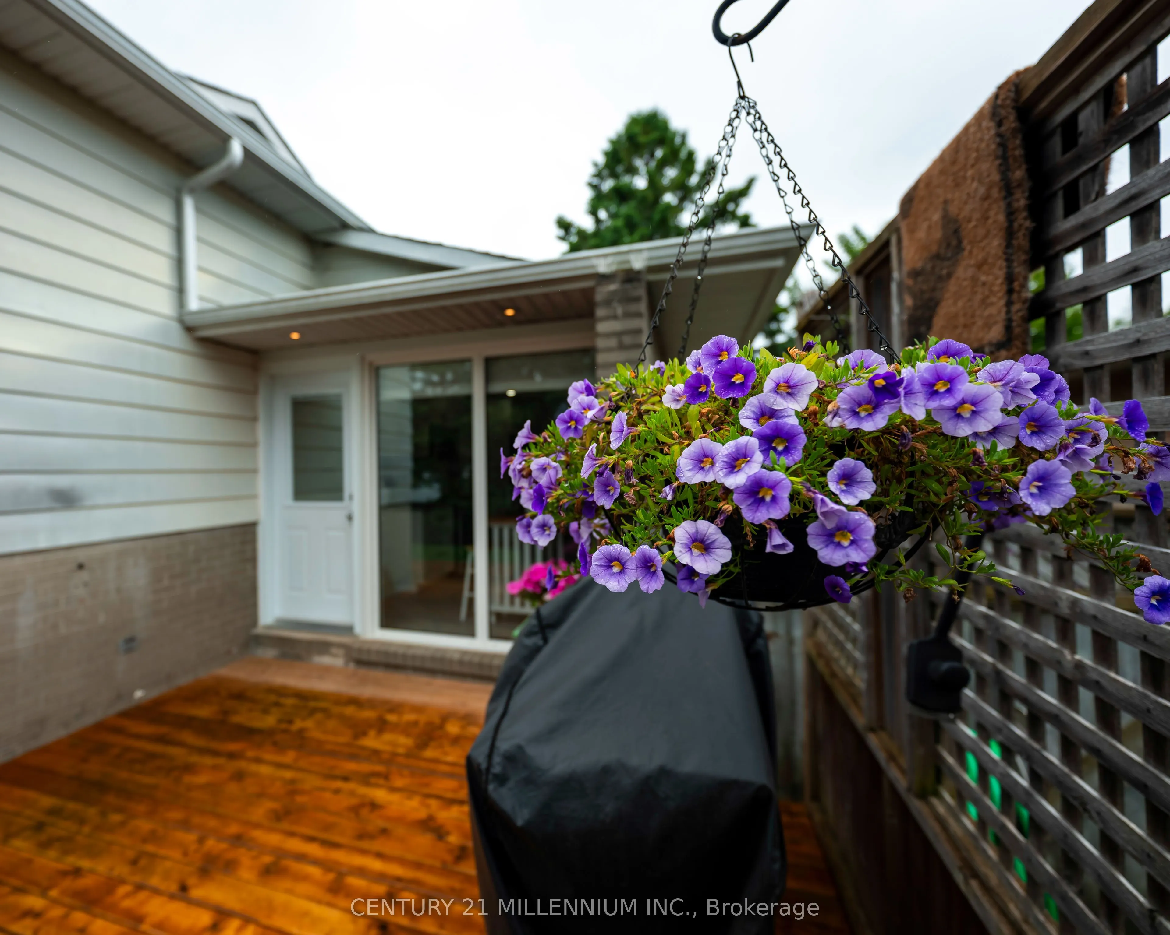 33 Caledonia Road