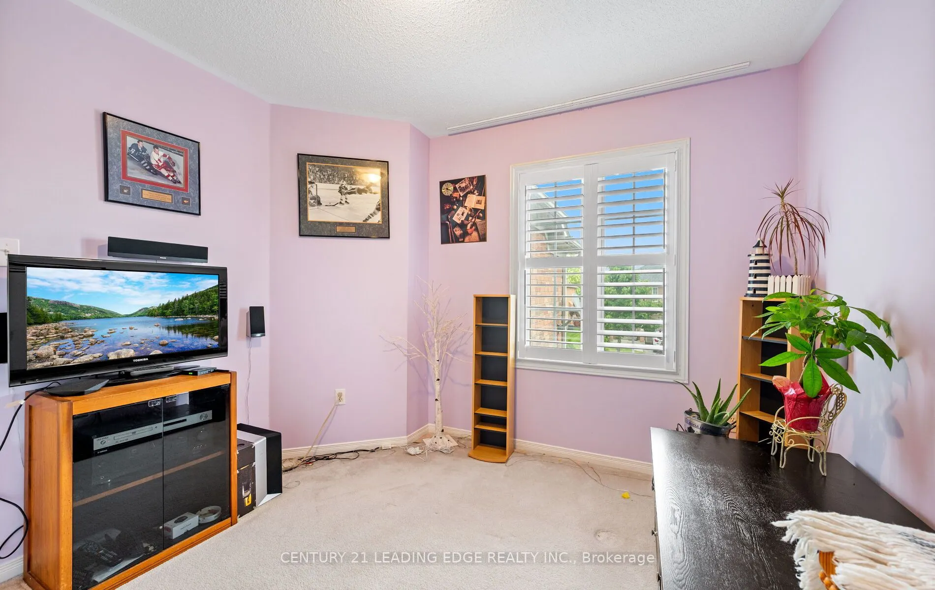 113 Frank Johnston Road