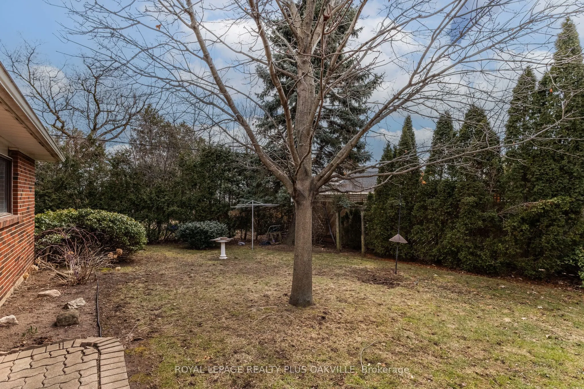 2416 Rebecca Street