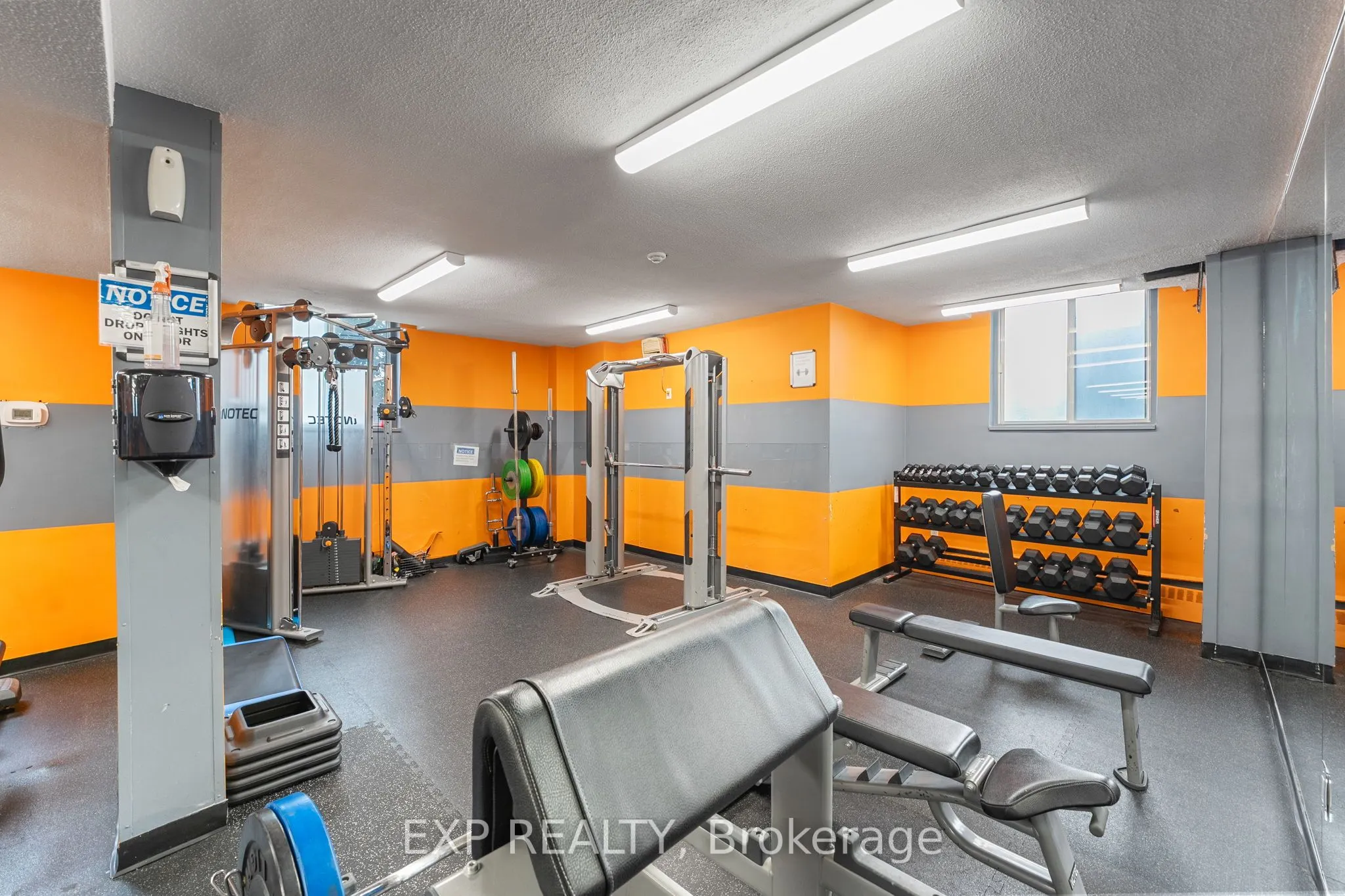 85 Emmett Avenue, #312