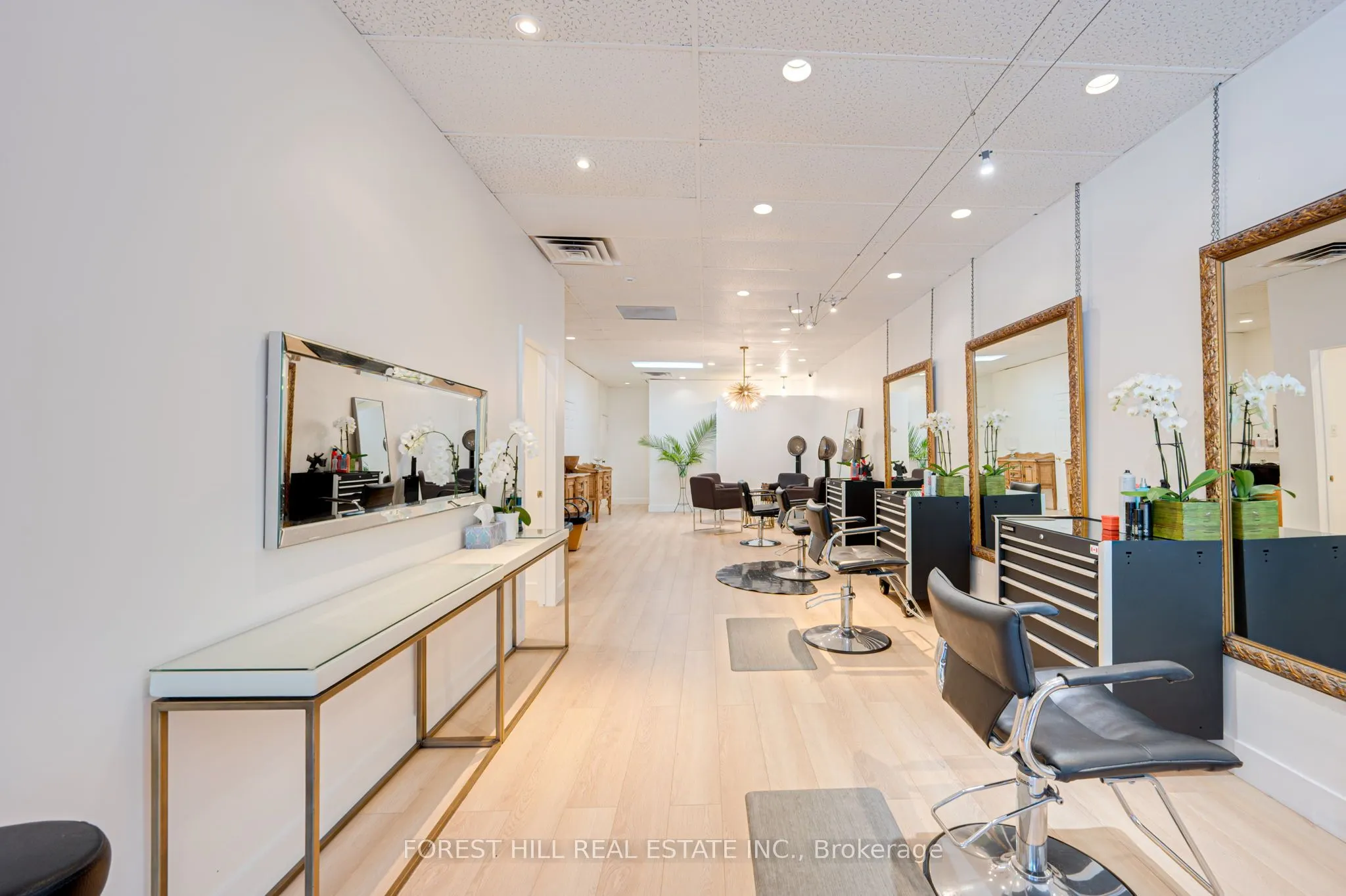 49 Mississauga Road N, #3