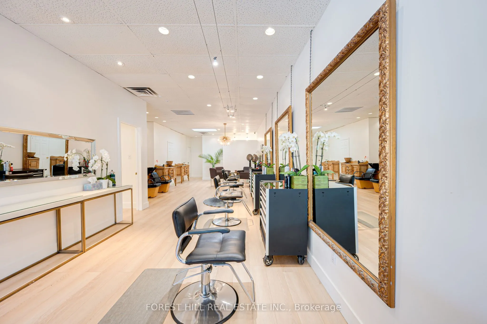 49 Mississauga Road N, #3