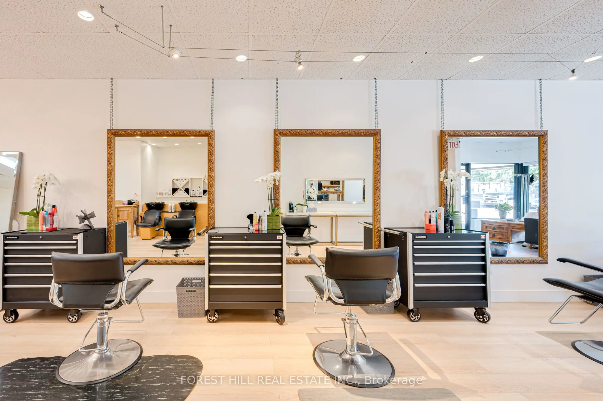49 Mississauga Road N, #3