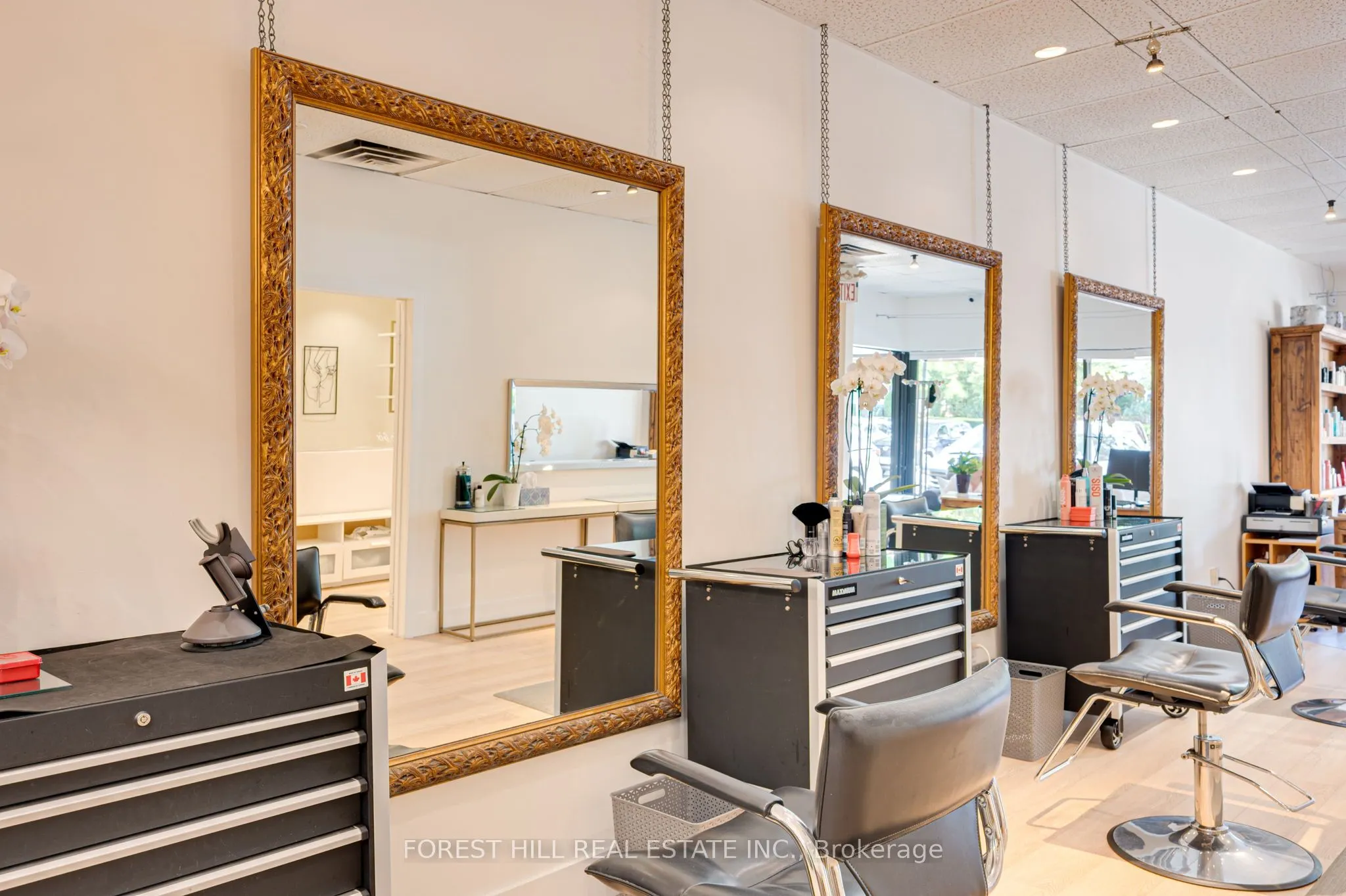 49 Mississauga Road N, #3