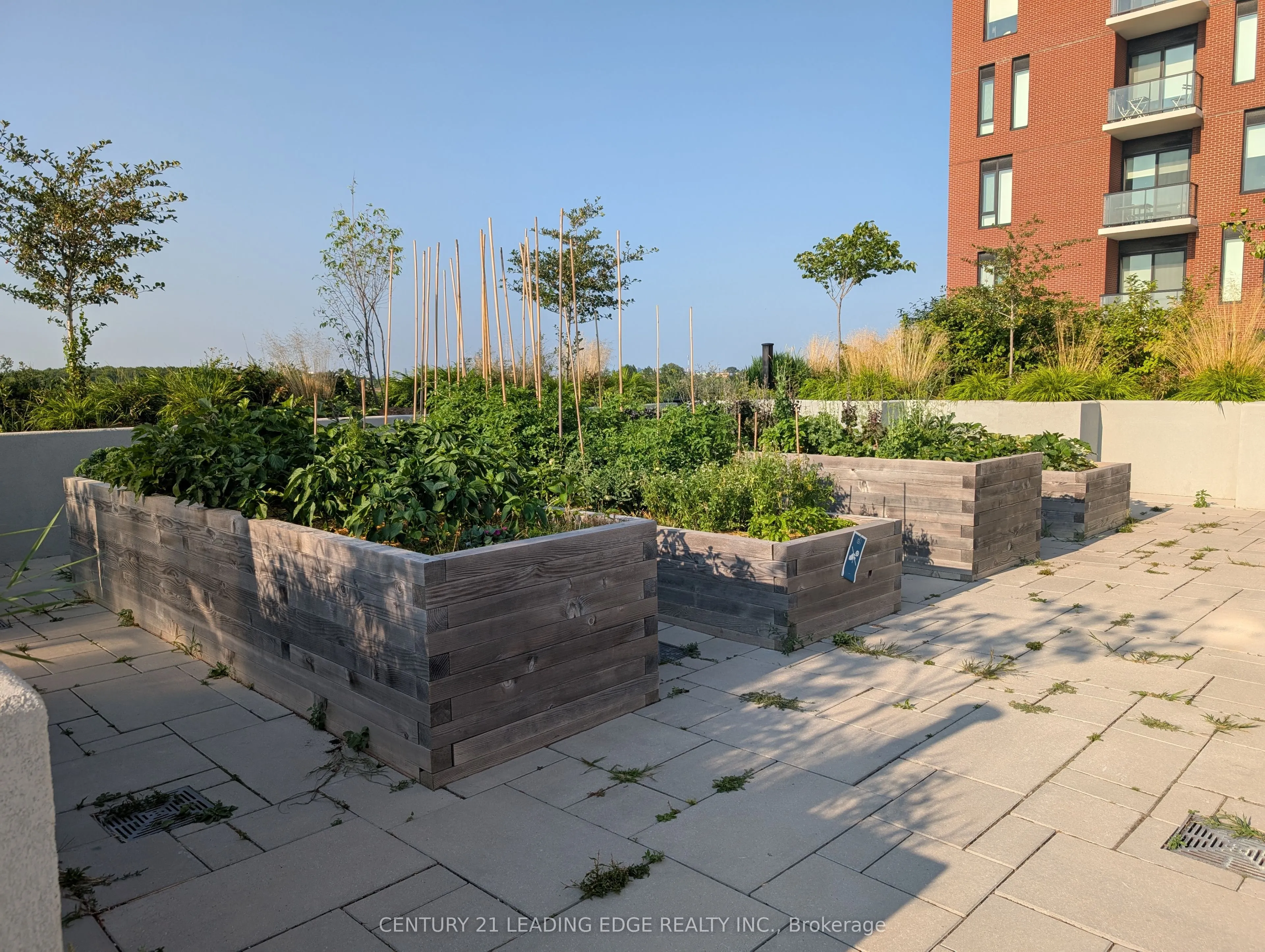 3100 Keele Street, #525