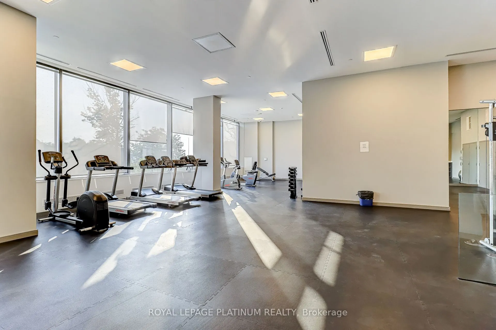 50 Thomas Riley Road, #703