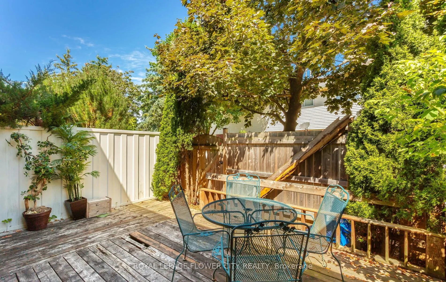 41 Chipstead Avenue, #42