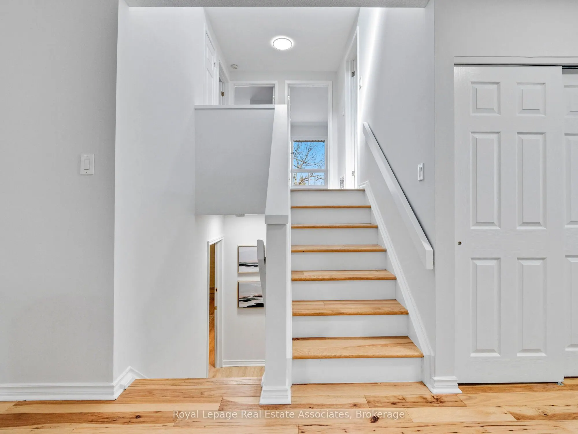 4 Dunray Court
