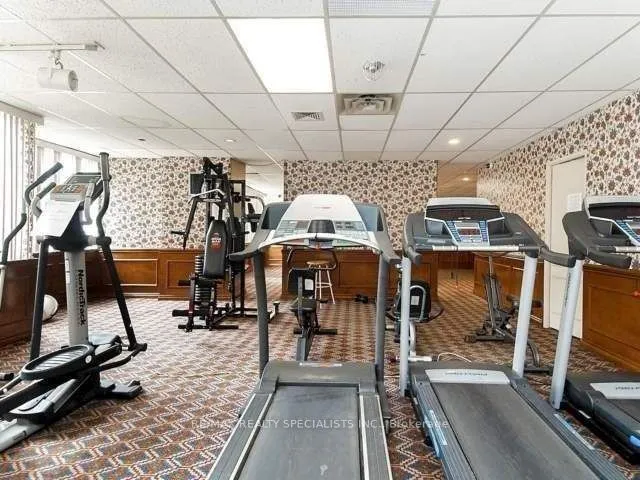 50 Elm Drive E, #203