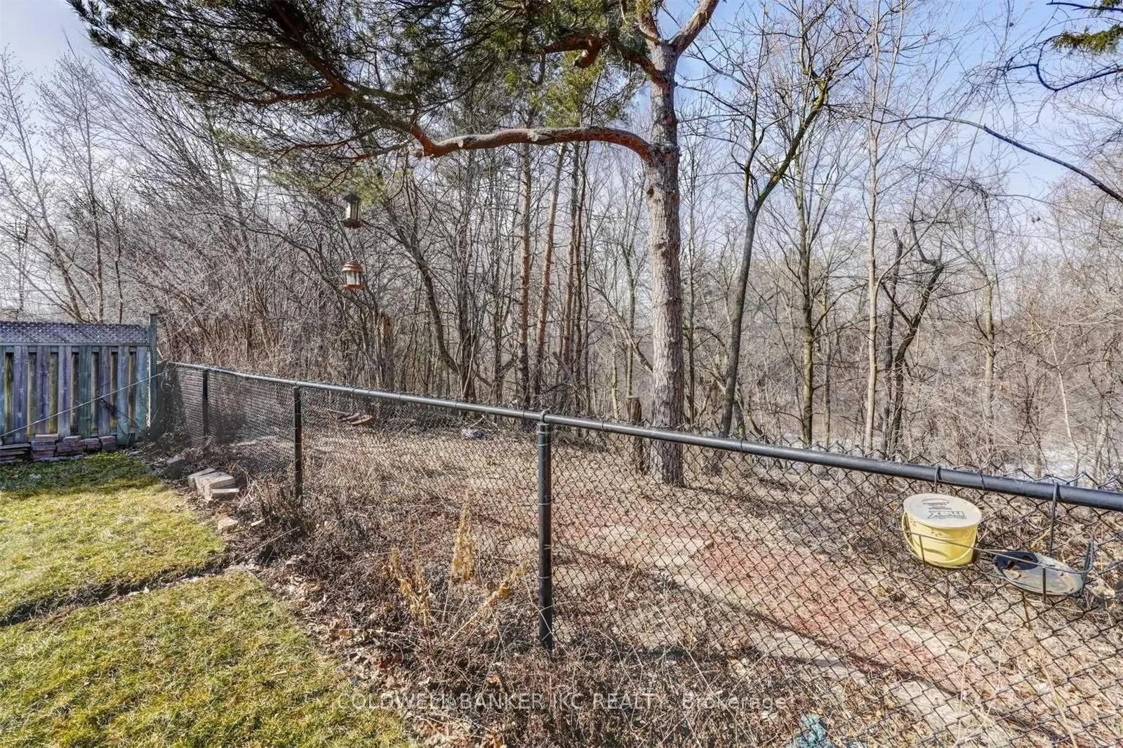 25 Hollowgrove Boulevard