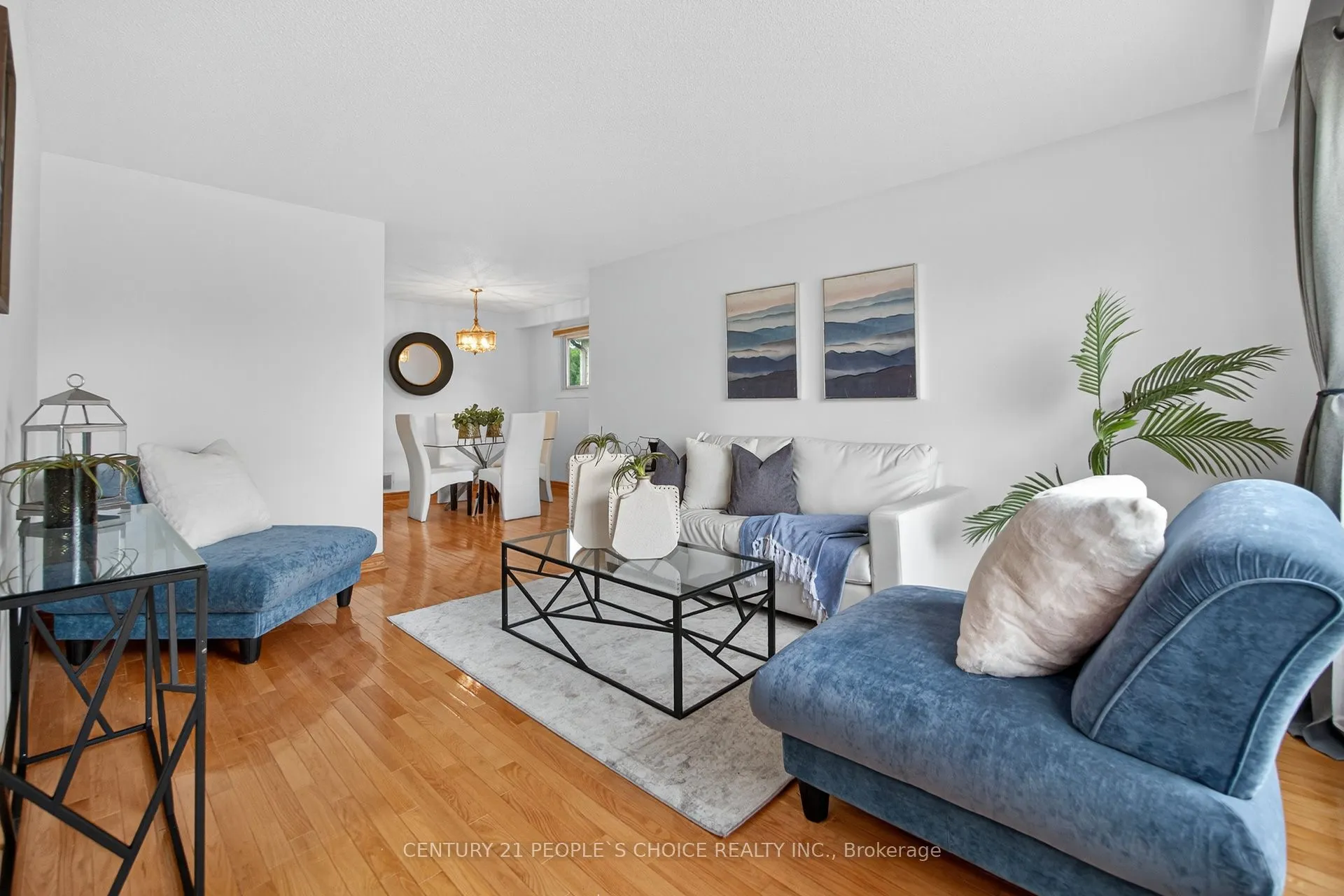 3404 Monica Drive