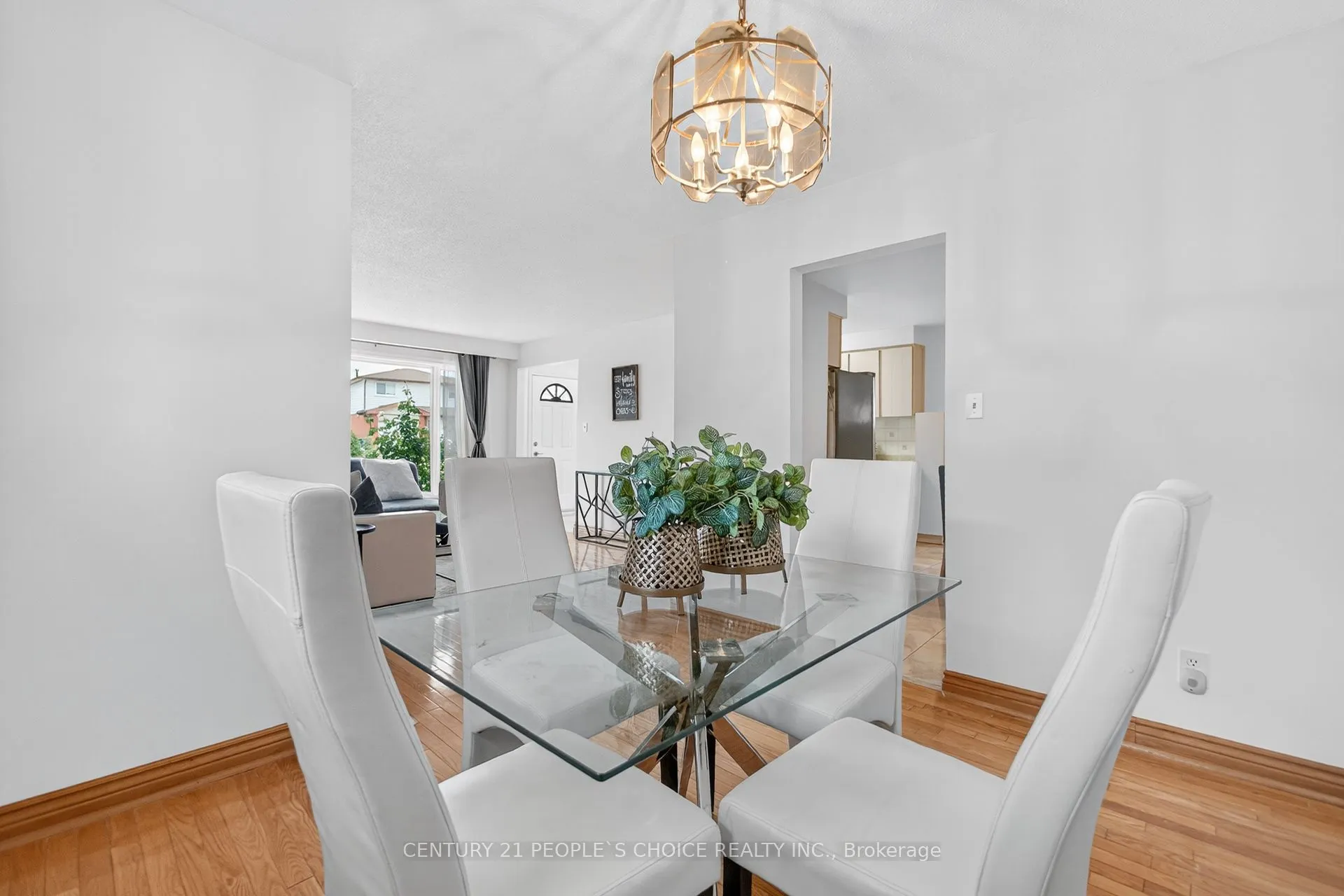 3404 Monica Drive