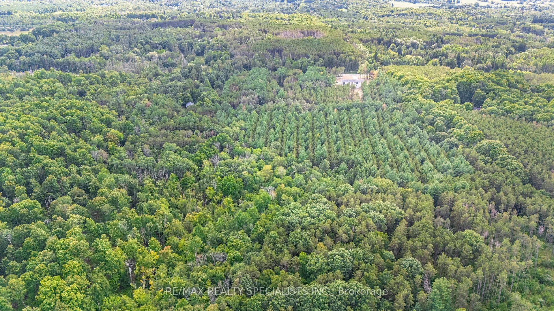 18711 The Gore Road