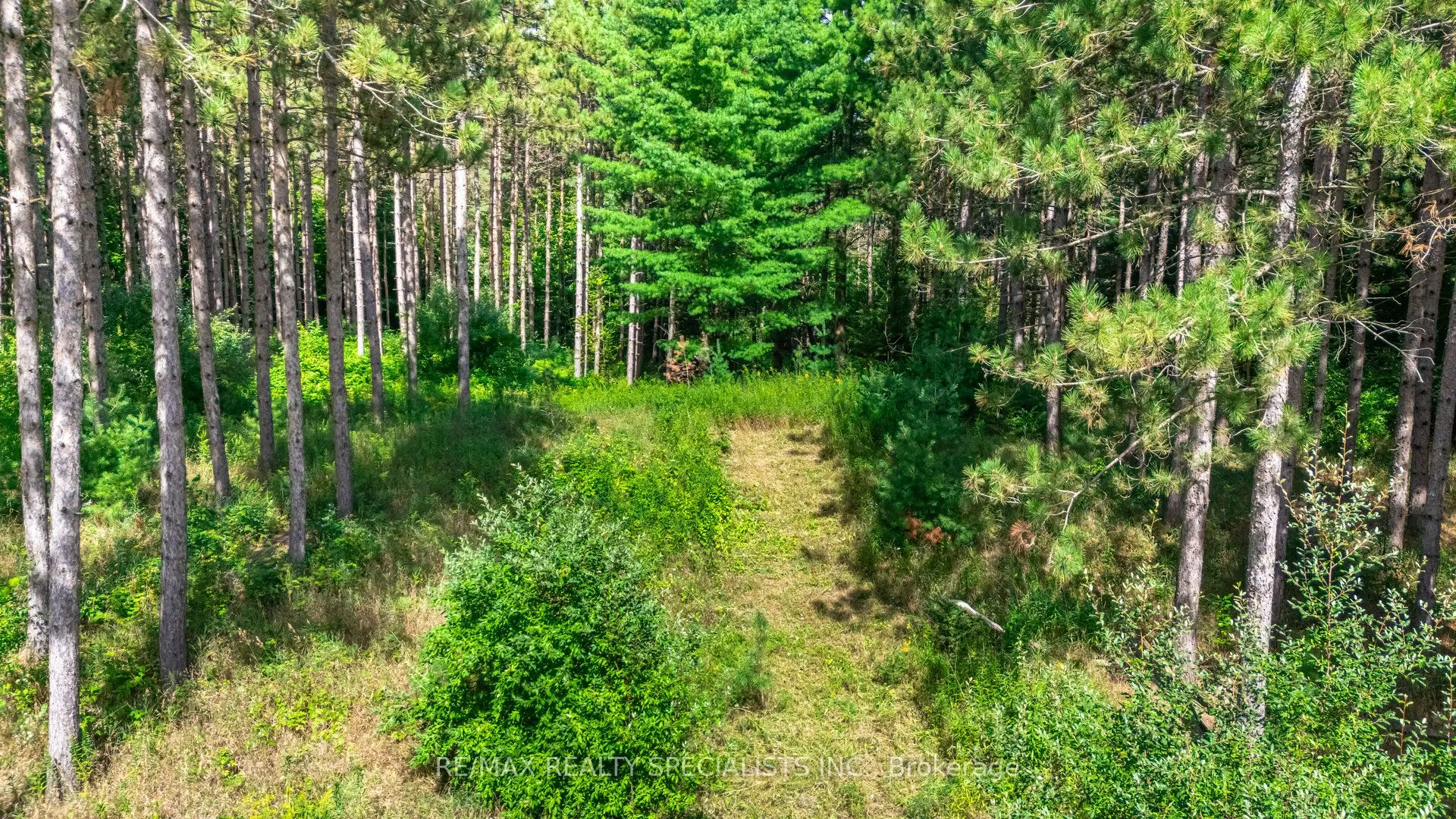 18711 The Gore Road
