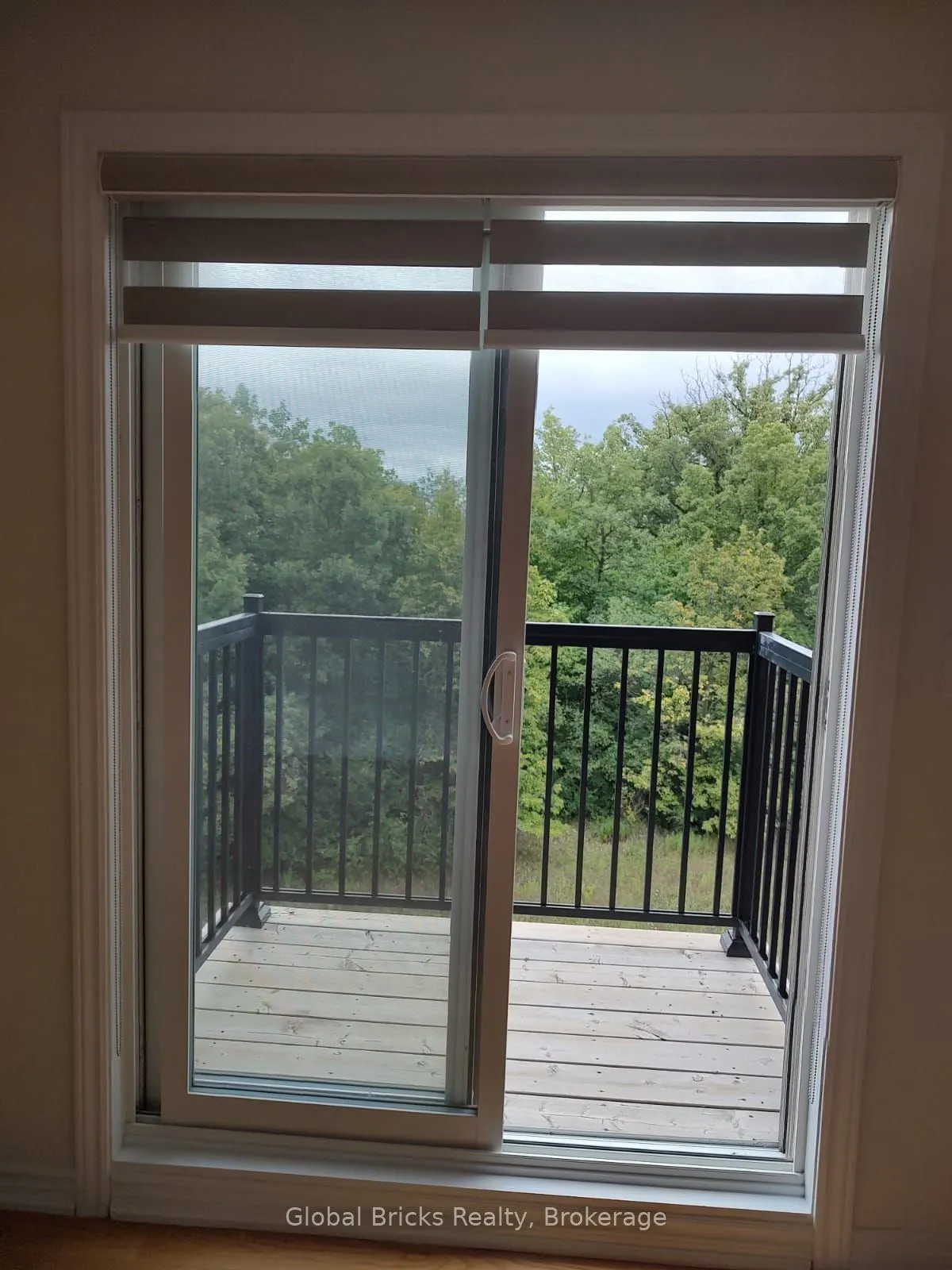 109 Haliford Place